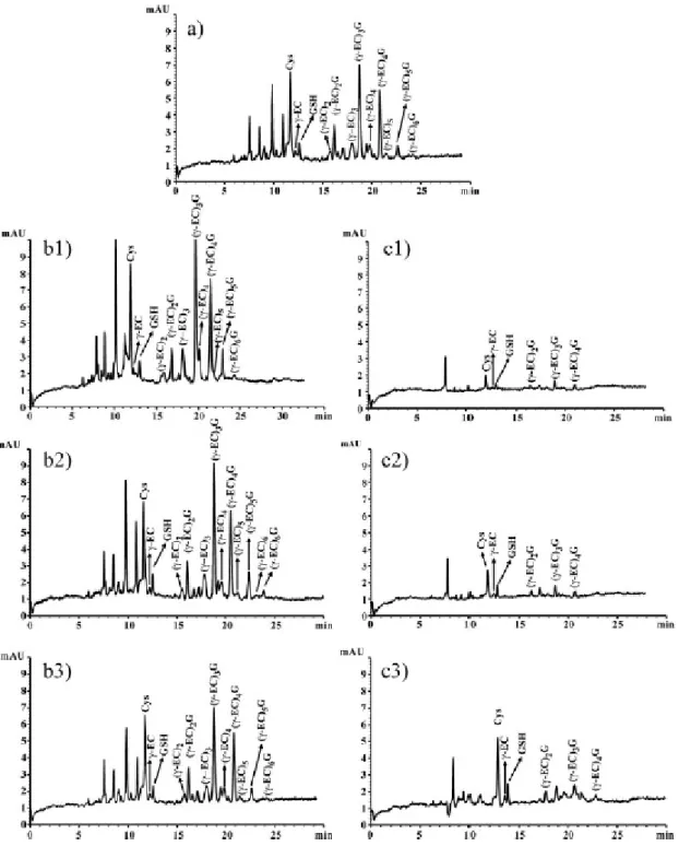 Figure  4.  Effect  of  the  reducing  agent  (2-mercaptoethanol  and  NaBH 4 )  and  different  concentrations on the derivatization process and CZE analysis of thiol peptides