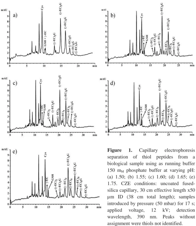 Figure  1.  Capillary  electrophoresis  separation  of  thiol  peptides  from  a  biological  sample  using  as  running  buffer  150  m M   phosphate  buffer  at  varying  pH: 