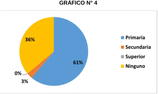 GRÁFICO N° 4 