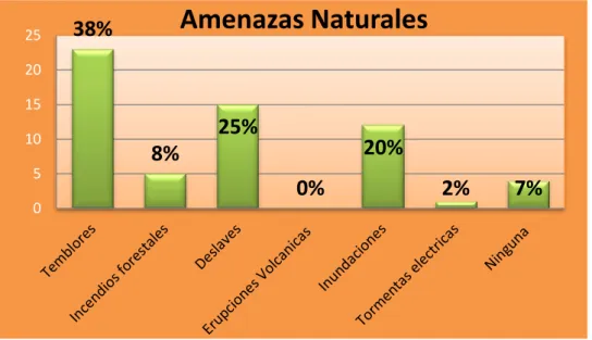 GRÁFICO N° 3 
