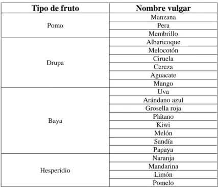 Tabla 1-1: Tipos de frutas según su morfología 
