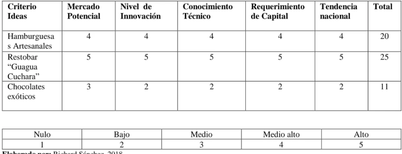 Tabla 2-4: Selección y evaluación de la idea. 