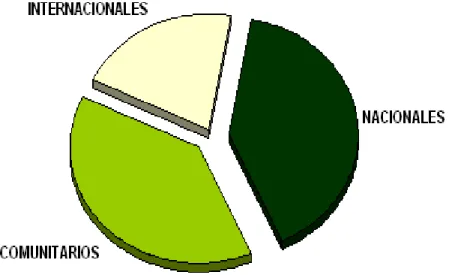 Figura 5. Tamaño de los segmentos de mercado para los servicios de renta de la  Sucursal TRANSTUR Villa Clara (primer semestre 2011) 