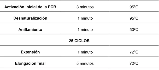 Tabla 5. Desarrollo PCR 