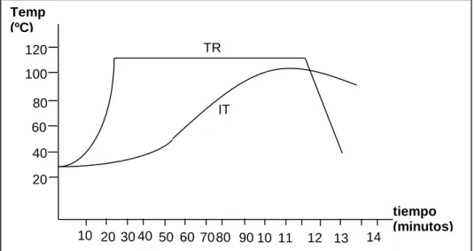 Figura Nº 3. Curva de Temperatura Interna en el Alimento 