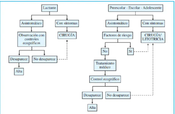 Gráfico 4 2-3:Algoritmo de tratamiento de la litiasis biliar 