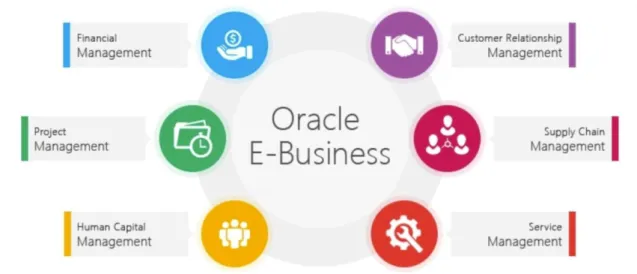 Figura 4. Principals Suites de Oracle E-Business 