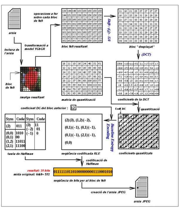 Figura 5. El procés de compressió dels arxius JPEG 