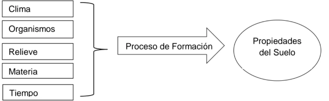 Figura 1.1: Relación entre los factores formadores del suelo y sus propiedades a través de los  procesos de formación
