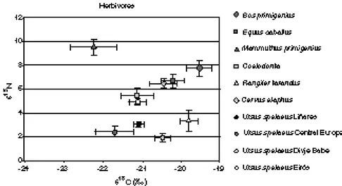 Figure 2.  15 N versus  13 C from different fossil herbivores. Notice that Ursus spelaeus 15 N values are clearly lower that the rest of herbivores, but data from reindeer (Rangifer tarandus)