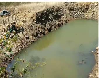 Figura 9: Reservorio de agua de rio para nuevas  plantaciones