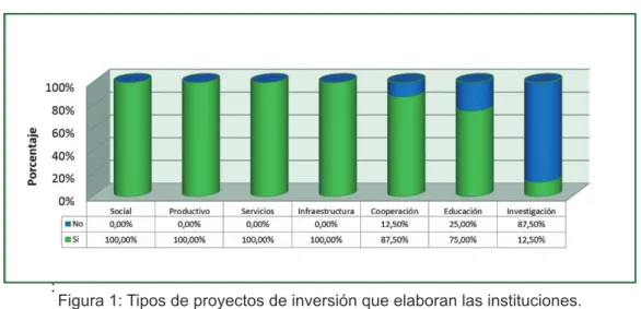 Figura 1: Tipos de proyectos de inversión que elaboran las instituciones.