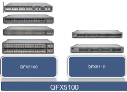 Ilustración 13 Modelos QFX5100