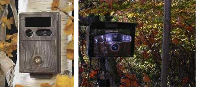 Figura 5: Diferentes instalaciones de cámaras camufladas. 