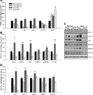 Fig. 2 Epididymal WAT mRNA (A), protein (B and C), and activity levels (D)  of  lipid  metabolism-related  enzymes  in  fed  and  fasted  Lewis  rats