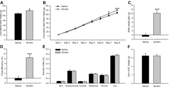 Fig.  5  Effect  of  an  8-d  ICV  ghrelin  treatment  on  cumulative  food  intake  (A),  cumulative  daily  food  intake  (B),  body  weight  gain  (C),  food  efficiency  (D),  somatic  index  (E),  and  sum  of  retroperitoneal,  omental,  epididymal, 