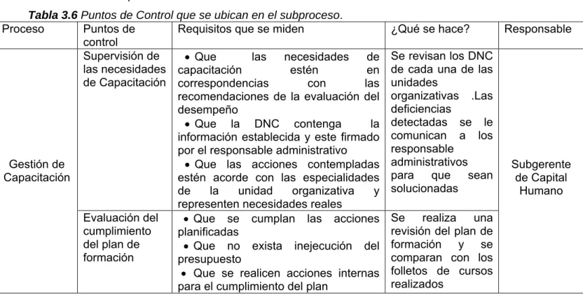 Tabla 3.6 Puntos de Control que se ubican en el subproceso. 
