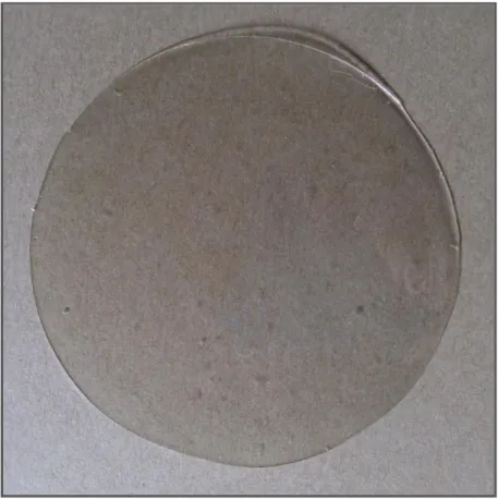 Figura 3. 10 Película de quitosano 2% y glicerol 0,3% 