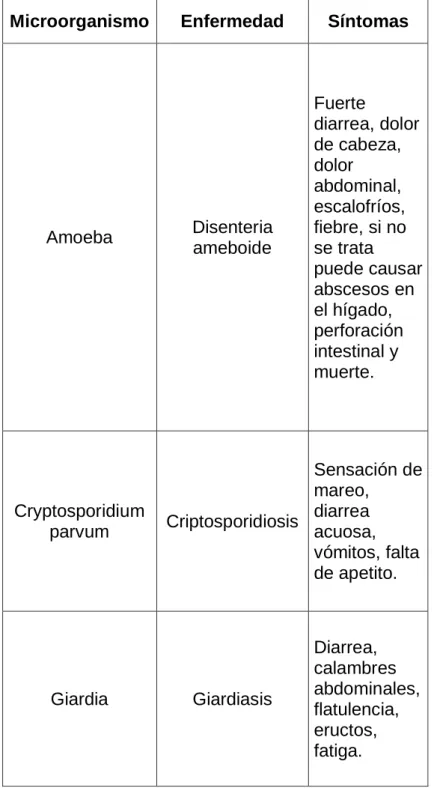CUADRO 6: ALTERACIONES BIOLOGICAS DE MICROORGANISMOS 
