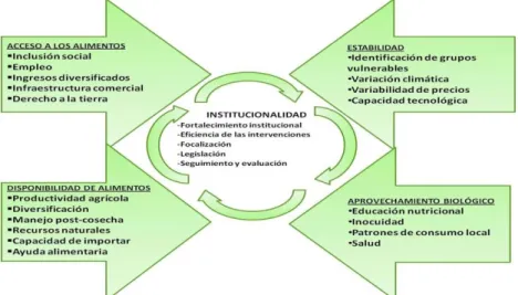 Figura 1: Componentes, proceso y áreas de intervención de políticas para  lograr la SAN
