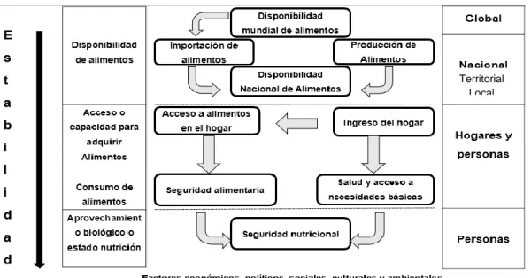 Figura 2: El esquema del marco conceptual de la seguridad nutricional en los  diferentes ámbitos