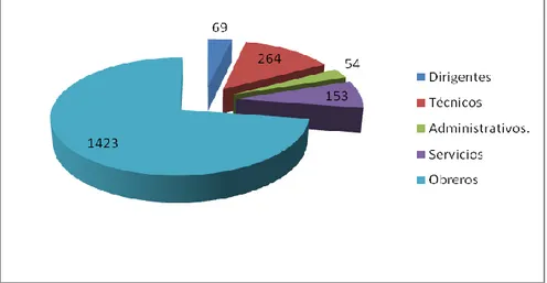 Figura Nº 9 Categoría ocupacional de la plantilla aprobada.Fuente: Dirección de Recursos  Humanos de la empresa