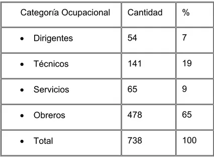 Tabla  2.1: Cantidad de trabajadores por categoría ocupacional  