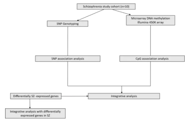 Figure 2: Analysis workflow. Adapted from Montano et al., 2016.