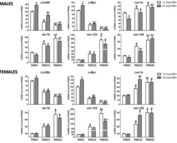 Figure 6. Expression profiles of the components of the Lin28/let-7 axis and related factors in the hypothalamus of male and  female rats following postnatal undernutrition