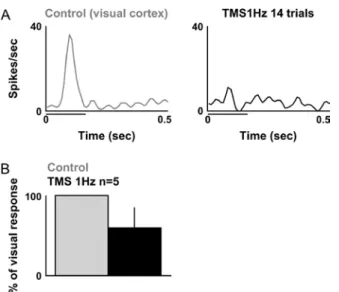 Figure 2. The effect of TMS pulses on V1 cell visual responses. (A) Responses of a cortical cell recorded during 1-Hz TMS