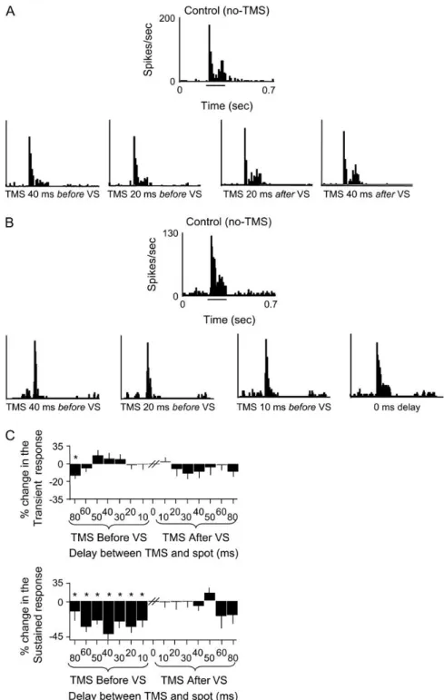 Figure 4. Critical timing and the effect of single TMS pulses on dLGN cell visual responses