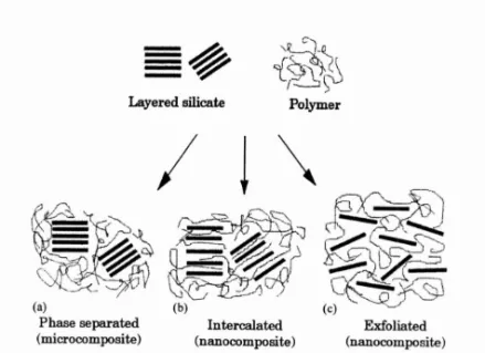 Figure 10. General Structures of Nanocomposites 