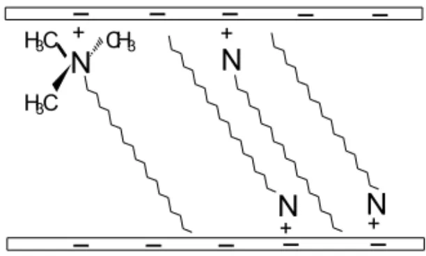 Figure 12.  Surfactant Confined by Clay Layers 
