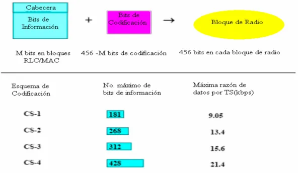 Figura 1.8.5.1 Estructura  y esquema de codificación de los bloques de radio 