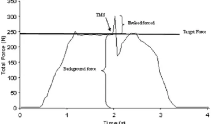 Fig. 1. The effect of TMS during a typical trial. During the trial, the subject was asked to reach and maintain the target force