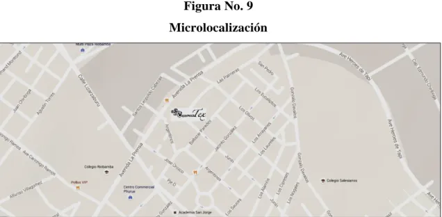 Figura No. 9  Microlocalización 