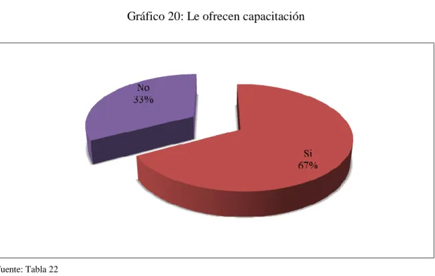 Gráfico 20: Le ofrecen capacitación 