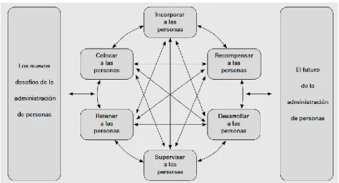 Gráfico 3-2: Procesos para la gestión del Talento Humano 