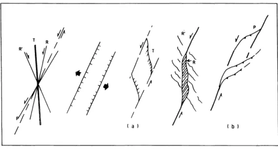 Fig. 12. Sistemas de fracturas frágeis em D 4 ; a continuidade do movimento pode gerar situa93es distensivas (a) ou compressivas (b).