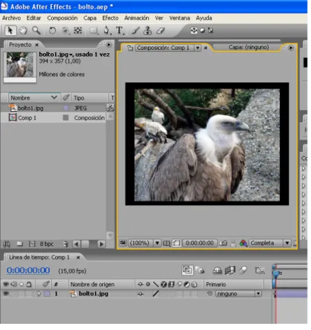 Fig. 2.5. El entorno After Effects. 