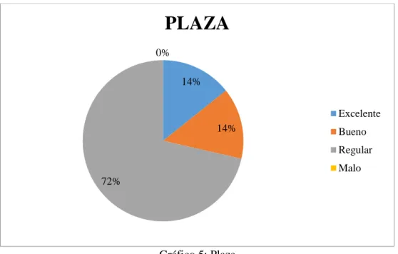 Gráfico 5: Plaza 