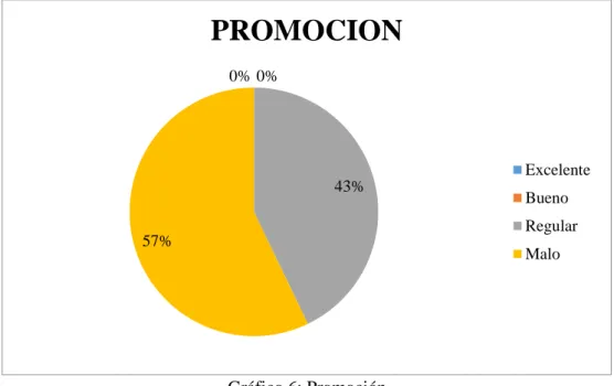 Gráfico 6: Promoción  