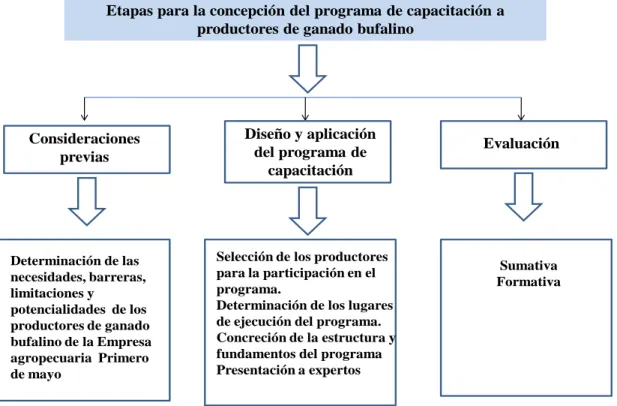 Figura 1: Etapas para la concepción del programa de capacitación  
