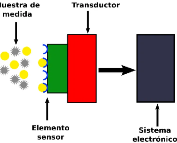 Ilustración 7: Esquema sensor bioquímico 