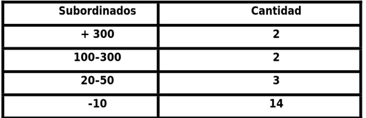 Tabla 6.  Desempeño profesional. 