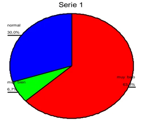 Gráfico 12: Resultados obtenidos en la Serie 1. 