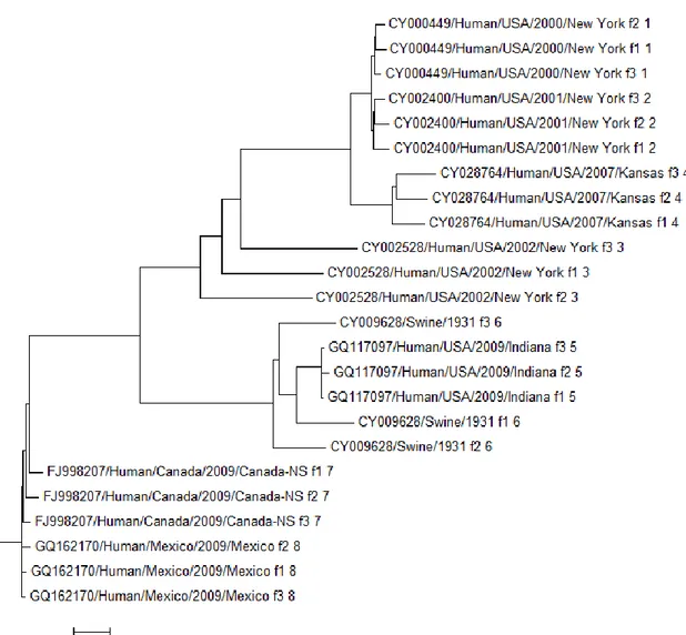 Figura  1.3.  Árbol  filogenético  de  24  secuencias  del  virus  de  la  Influenza  A  H1N1  obtenido  con el FastME
