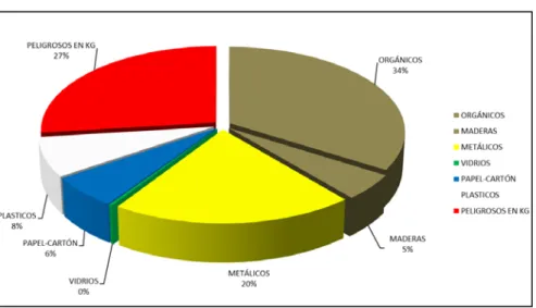 Figura N° 12. Generación de Residuos Año 2016. 