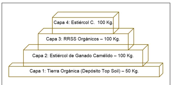 Figura N° 13. Diseño de la Conformación de la Pila de Compostaje Tipo 1. 