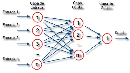Figura 1.1: Representación gráfica de una RNA.